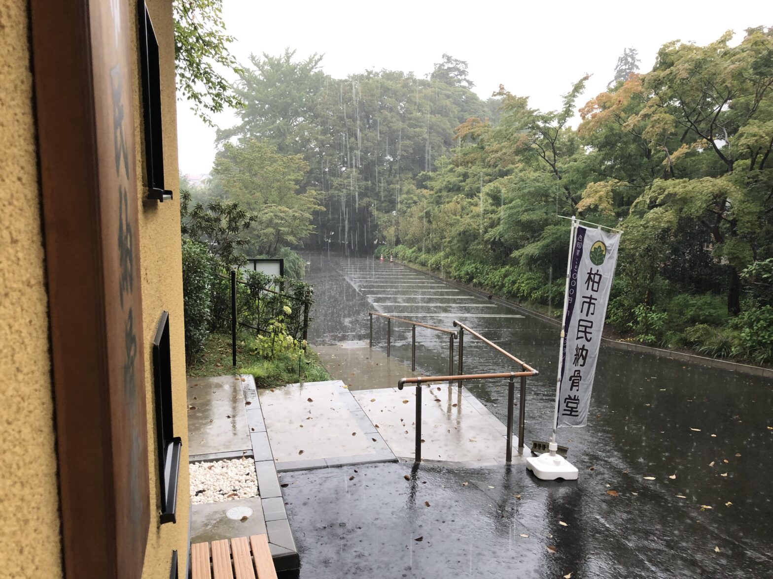 観音寺　彼岸花　台風　雨