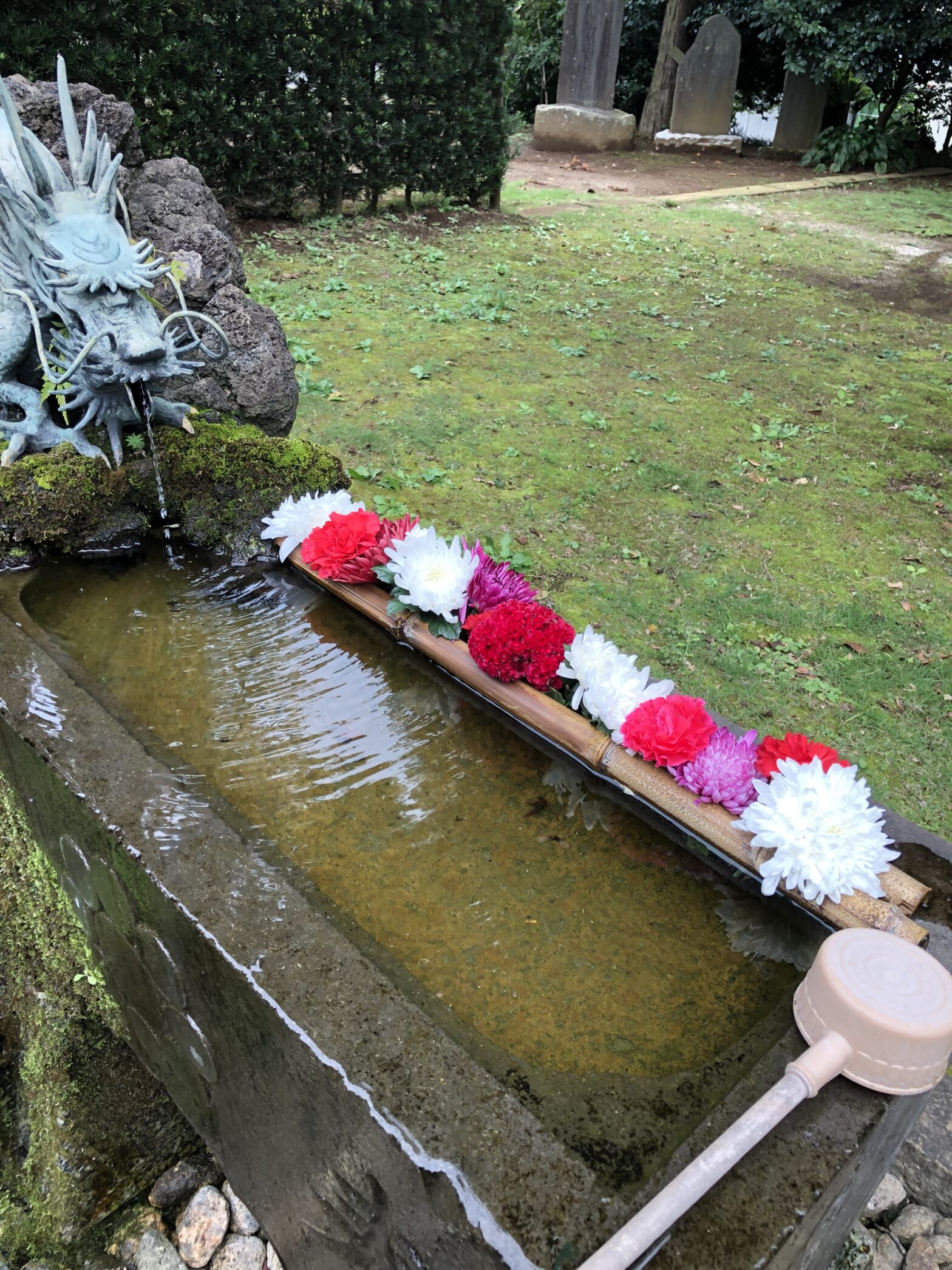 観音寺　柏市民納骨堂　花　花手水