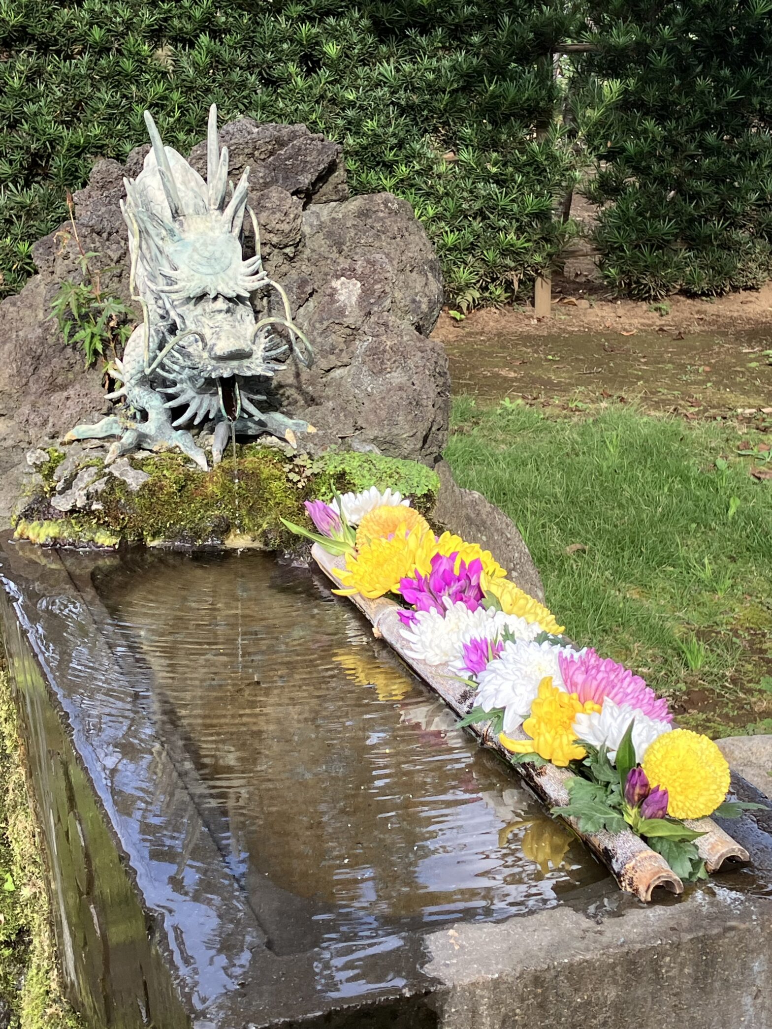 観音寺　柏市民納骨堂　花手水